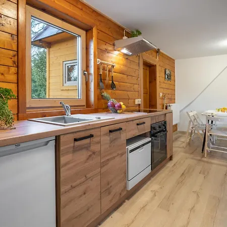 Apartment Tatraholiday - Bialy Potok #2 Witow (Tatra)